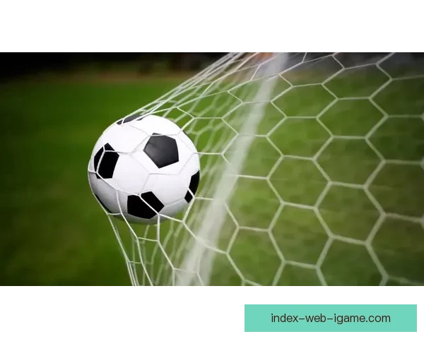 新西兰足球直播全景解析赛程球队数据与观赛指南实时战况深度解读